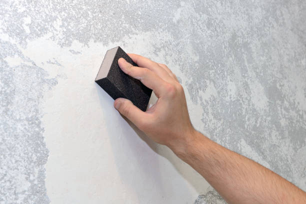 Best Mold-Related Health Consultation  in Yellow Springs, OH