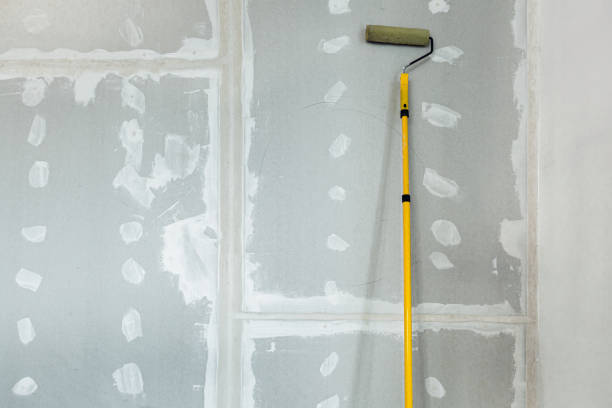 Best Mold Damage Restoration  in Yellow Springs, OH