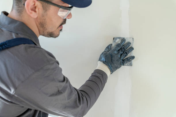 Best Attic Mold Removal  in Yellow Springs, OH