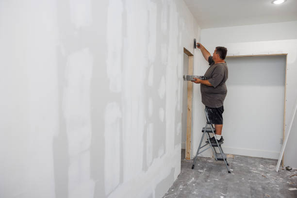 Best Mold Odor Removal Services  in Yellow Springs, OH
