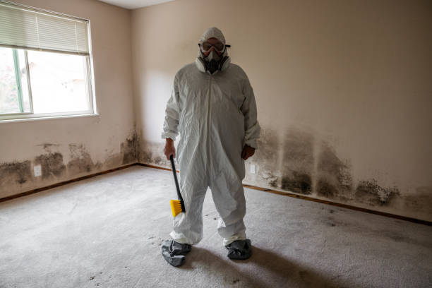 Best Post-Construction Mold Inspection  in Yellow Springs, OH