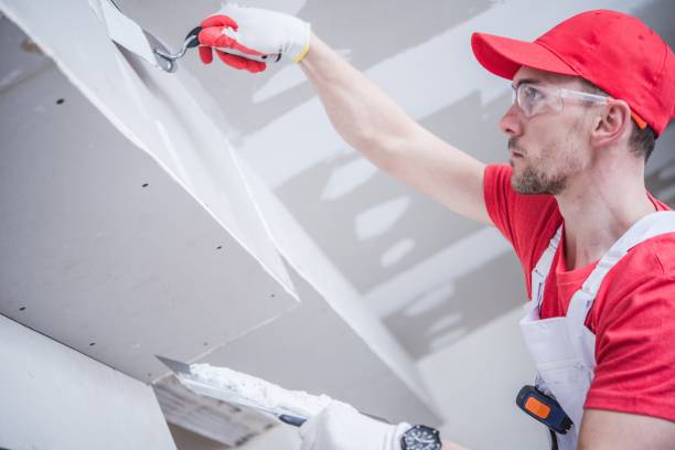 Professional Mold Removal in Yellow Springs, OH